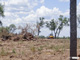 Deforestacion selectiva en el impenetrable para Ganaderia